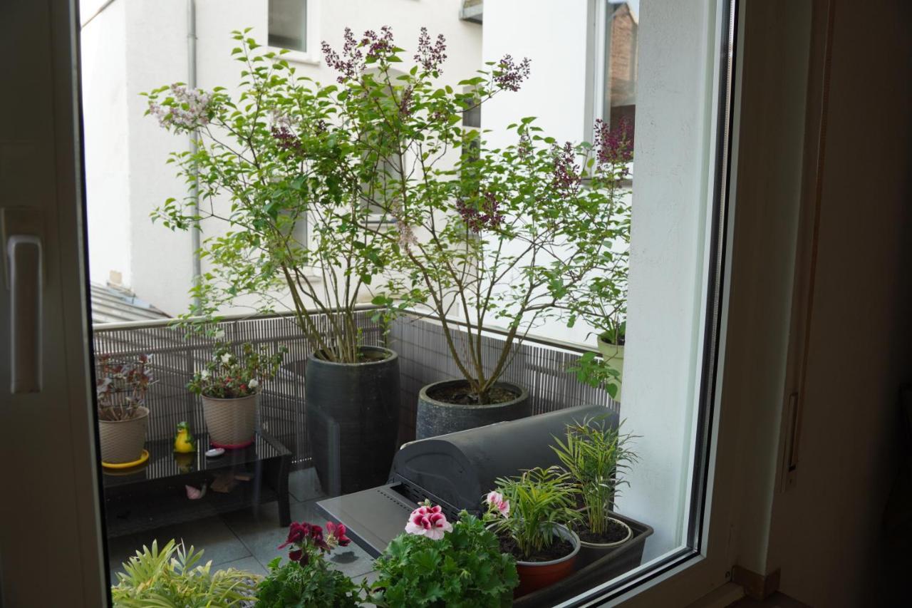 Bright, Spacious Apartment With A Lovely Terrace In The Heart Of Аахен Екстер'єр фото